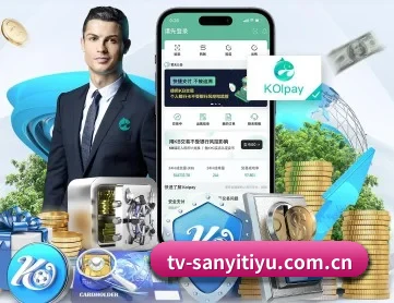 三亿体育平台 APP（SANYI）