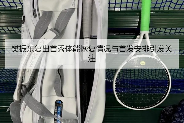 樊振东复出首秀体能恢复情况与首发安排引发关注（SANYI）